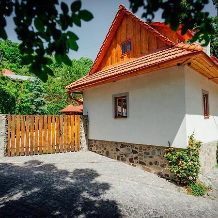 Вилла Stara Mytnica Банска-Штьявница Экстерьер фото